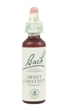 Sweet Chestnut (Jedlý kaštan)